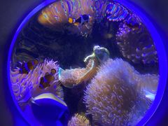 -太平洋海底世界