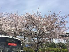 -上海南浦大桥长途旅游客运站