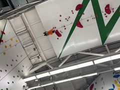 -绿壁虎攀岩基地(Tcar店)