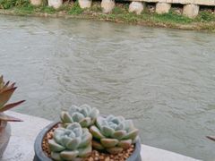-生宇山珍野生菌汤锅•始于1999(双流古塔店)