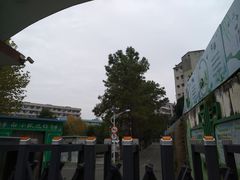 -洪山区南望山小学