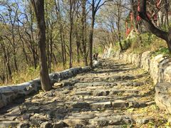 -阳台山自然风景区