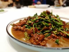 -渔家灯火(明湖店)