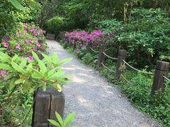 -新江湾城公园