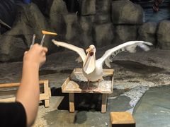 -绿色星球动物主题公园