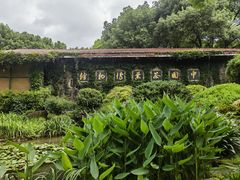 -中国茶叶博物馆(双峰馆区)