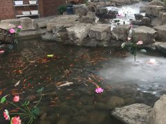 -森谷美食公园(杨行店)