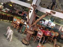 -more than meow吴止猫主题餐厅(承德 中船汇店)