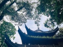 -天一阁博物院