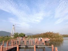 -芒洲湿地公园