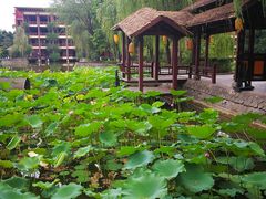 -天赐温泉
