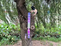 -焦岗湖旅游度假区