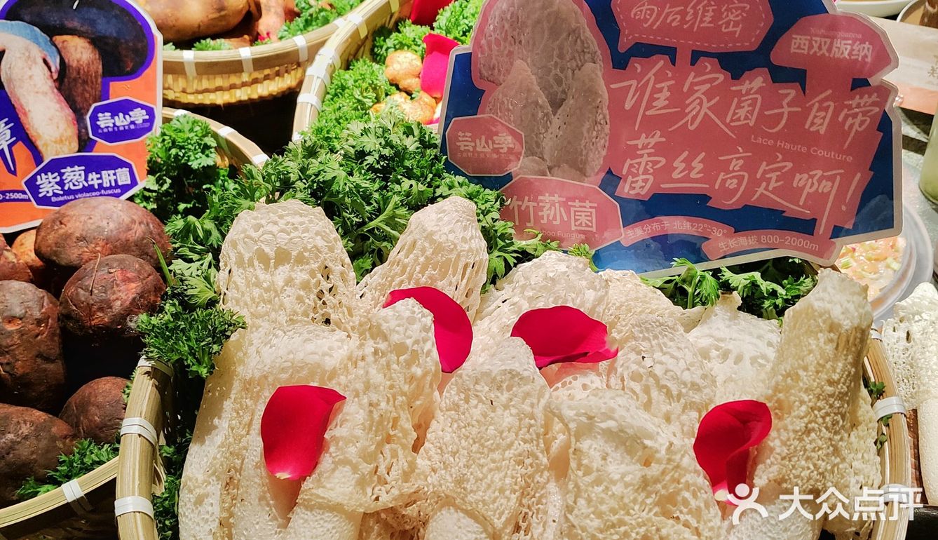 这怕不是把整个云南山上菌子都搬来南宁了吧
