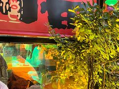 -食欲老院子荆芥疙瘩汤(经五路店)