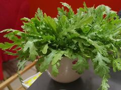 -芦月轩羊蝎子(北蜂窝店)