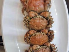 -小六农家乐(崇明西沙湿地店)