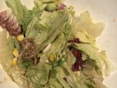 -辛德勒啤酒德餐厅