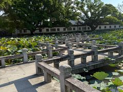 -江心屿景区