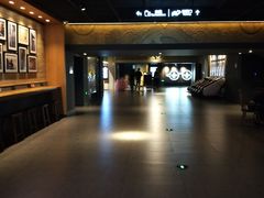 -新影联·华谊兄弟影院(望京店)