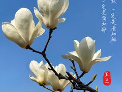 -北运河水利风景区