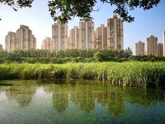 -前关湿地公园