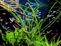 -上海海洋水族馆