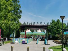 -黄海国家森林公园