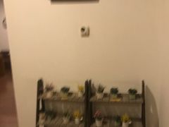 -嘉佑温泉水世界