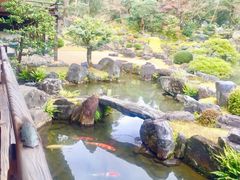 -醍醐寺