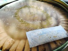 -珍妮曲奇聪明小熊(尖沙咀店)