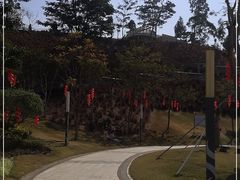 -白石龙音乐公园