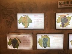 -青岛葡萄酒博物馆