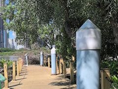 -华侨城湿地公园