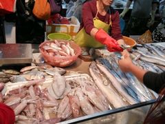 -鸿港海鲜批发市场