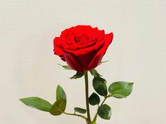 -活鱼馆(宜兴埠店)