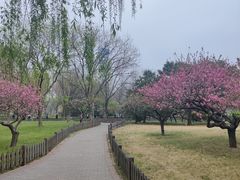 -莲花池公园