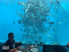-瑞德姆美人鱼海底演艺主题餐厅(亚龙湾店)