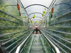 -南丹山森林王国