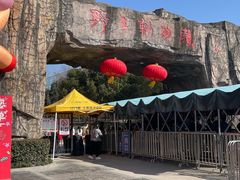 -合肥野生动物园