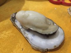 -蚝专家(北滘店)