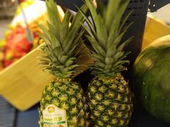 -野萃山·潮汕厚果汁(十亩地店)