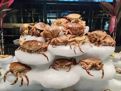 -川骄海鲜自助(亚运村店)