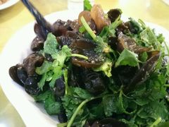 香菜拌木耳-河南食府(人民路店)