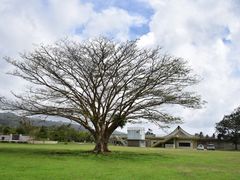 -美国纪念公园