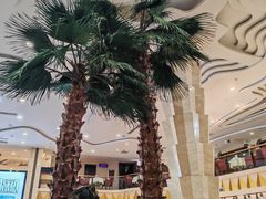 -碧中海汤泉汗蒸酒店