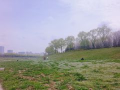 -洨河生态公园