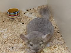 -龙猫仔乐园(惠福东路店)