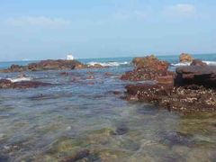 -西涌国际滨海旅游区