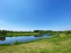 -蒲河岛湿地公园