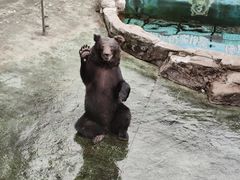 -深圳野生动物园